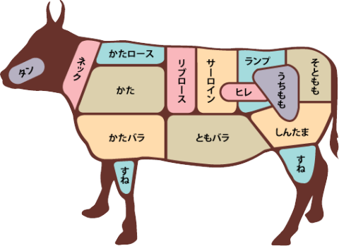 牛肉｜部位｜ヤマサン食品