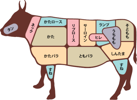 牛肉の部位について｜佐賀県多久インター近くの佐賀牛のヤマサン食品