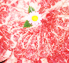 佐賀産牛肉｜こだわりの豚肉｜多久インター｜多久市｜ヤマサン食品